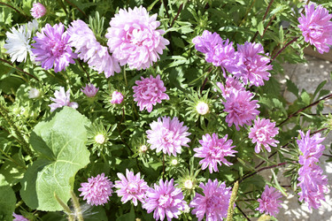 Similar image 21240616