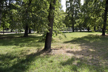 Similar image 21240618