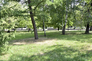 Similar image 21240619