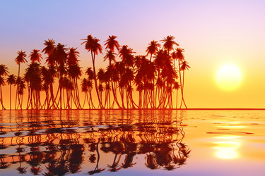 Similar image 21256260