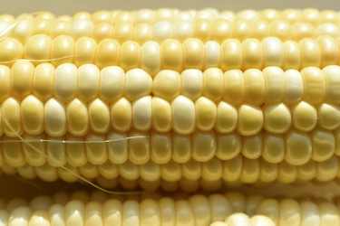 Similar image 21240622