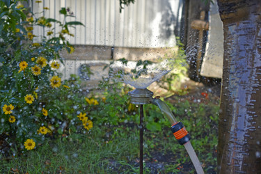 Similar image 21240626