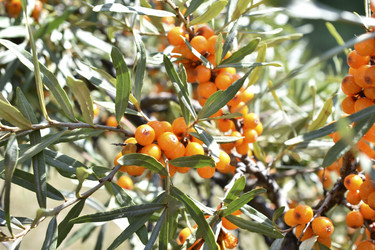 Similar image 21240627