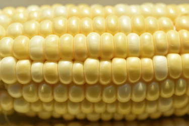 Similar image 21240630