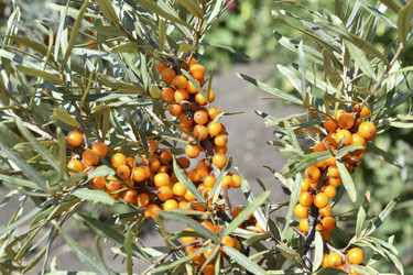 Similar image 21240631