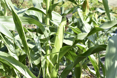 Similar image 21240632