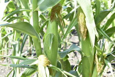 Similar image 21240633