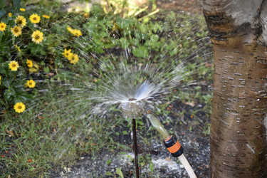 Similar image 21240634