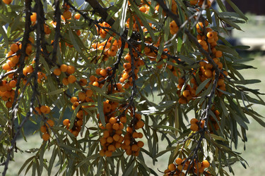 Similar image 21240635