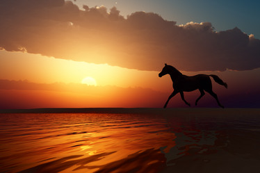 Similar image 21245411