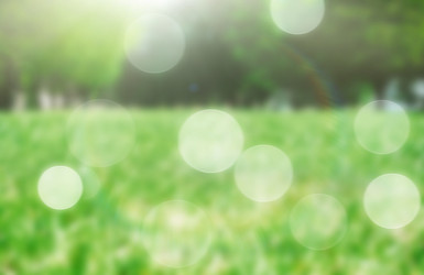 Similar image 21245589