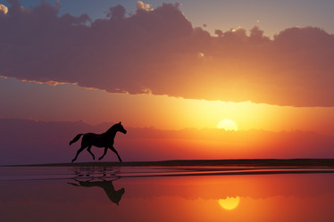 Similar image 21256270