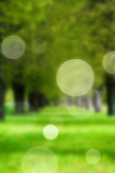 Similar image 21243718