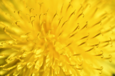 Similar image 21240638