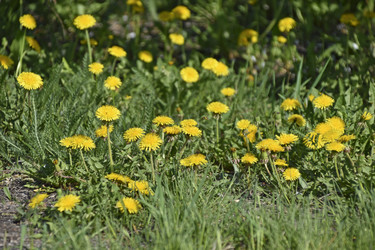 Similar image 21240640