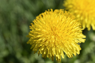 Similar image 21240641