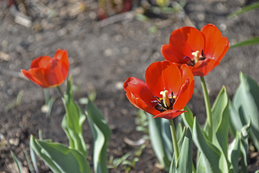 Similar image 21240643