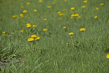 Similar image 21240645