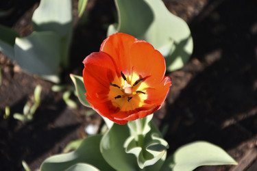 Similar image 21240646