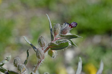 Similar image 21240647