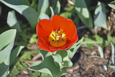 Similar image 21240649