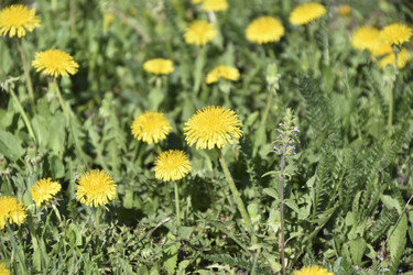 Similar image 21240650