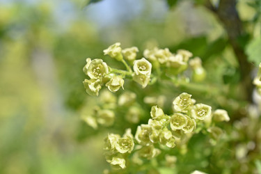 Similar image 21240651