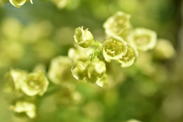 Similar image 21240655