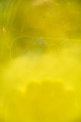 Similar image 21246104