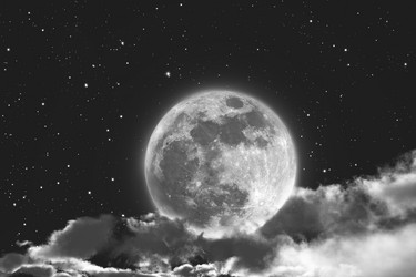 Similar image 21243742