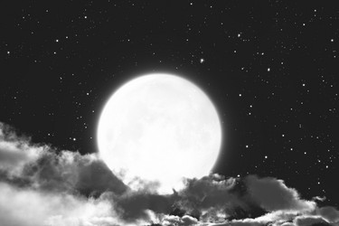 Similar image 21246120