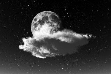 Similar image 21256302