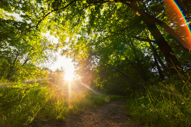 Similar image 21244146