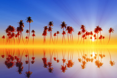 Similar image 21247572