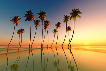 Similar image 21223993