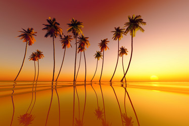 Similar image 21224114