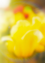 Similar image 21224123