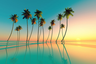 Similar image 21224133