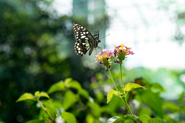 Similar image 21229425