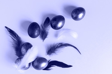 Similar image 21230094