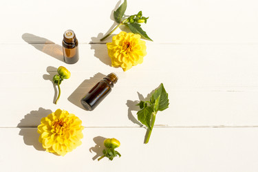 Similar image 21207520