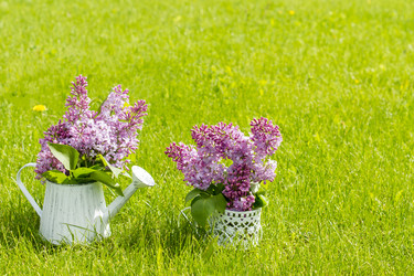 Similar image 21229911