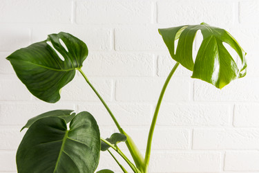 Similar image 21230137