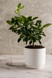 Similar image 21230143