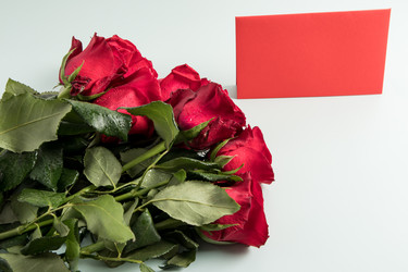 Similar image 21229353