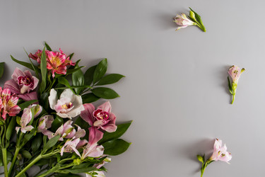 Similar image 21229936