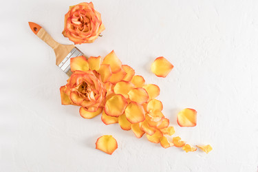 Similar image 21229939