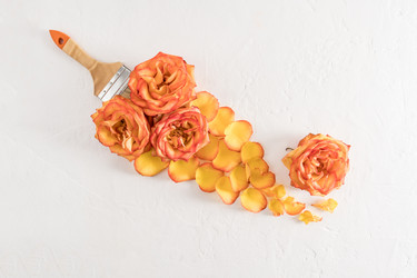 Similar image 21229950