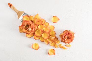 Similar image 21229952