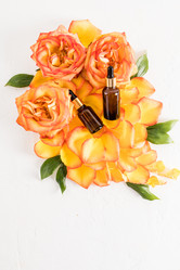 Similar image 21229956